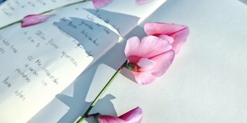 IMG_20250510_194847_edit_414345306441887