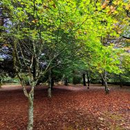 IMG_20251022_104754_edit_100716819916735