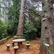 IMG_20251022_105509_edit_100612405953806