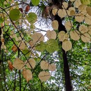 IMG_20251022_105601_edit_1135446495159413