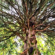 IMG_20251022_105915_edit_100530020999254