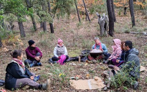 IMG_20251129_123208 IMG_20251129_123208