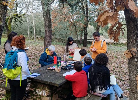 IMG_20251207_110036 IMG_20251207_110036